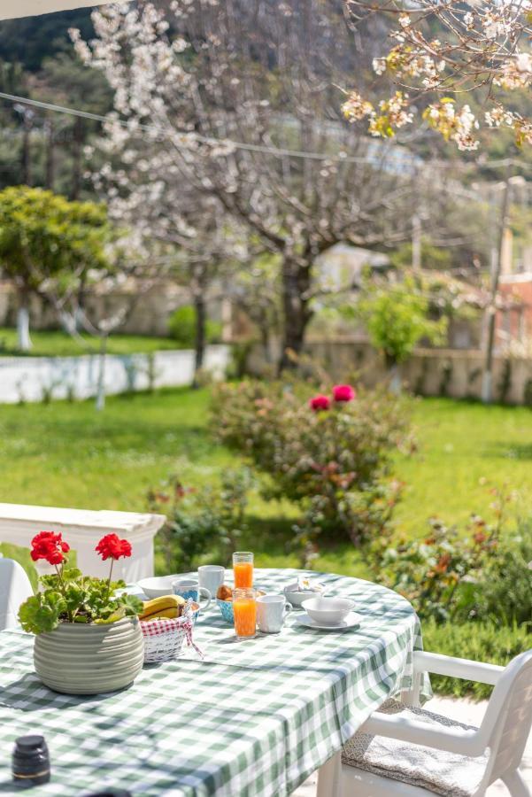 To Ktimataki Villa Agios Gordios  Buitenkant foto